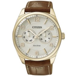 Orologio Uomo Citizen Metropolitan Eco Drive AO9024-16A Multifunzione