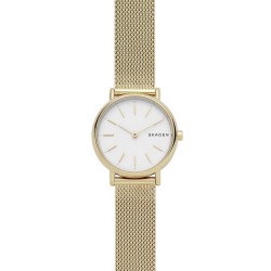 Orologio Donna Skagen Signatur SKW2693