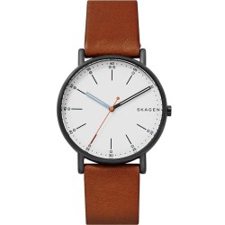Orologio Uomo Skagen Signatur SKW6374